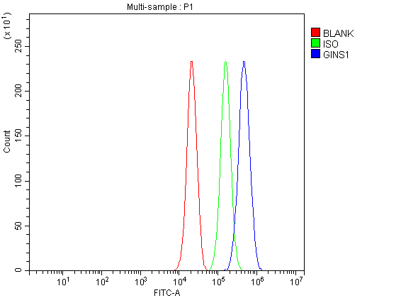 a09225 1 gins1 primary antibodies fcm testing 1_1