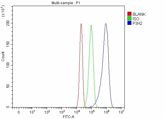 a09235 1 p3h2 primary antibodies fcm testing 5