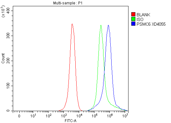 a09249 2 psmc6 primary antibodies fcm testing 1