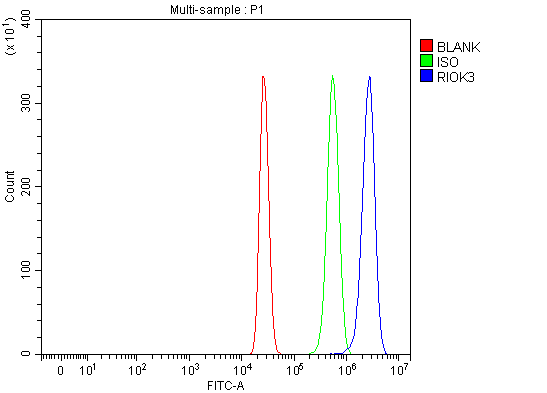a09262 3 riok3 primary antibodies fcm testing 2