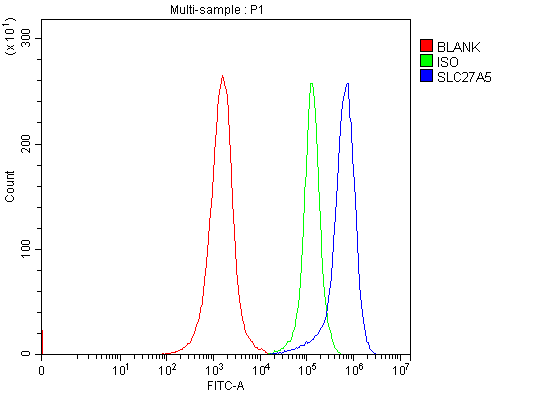 a09287 2 slc27a5 primary antibodies fcm testing 2