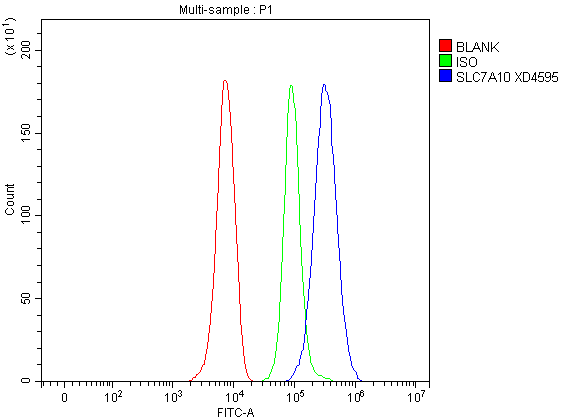 Flow Cytometry analysis of HepG2 cells using anti-SLC7A10 antibody (A09335-2)