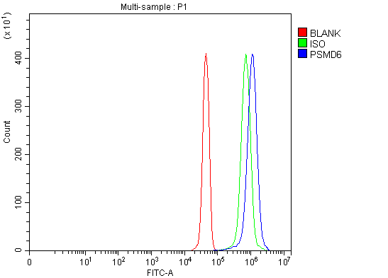  Flow Cytometry analysis of JK cells using anti-PSMD6 antibody (A09338-1)