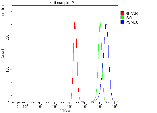 a09338 1 psmd6 primary antibodies fcm testing 4