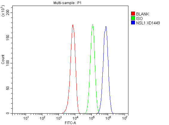  Flow Cytometry analysis of HepG2 cells using anti-NSL1 antibody (A09341-1)