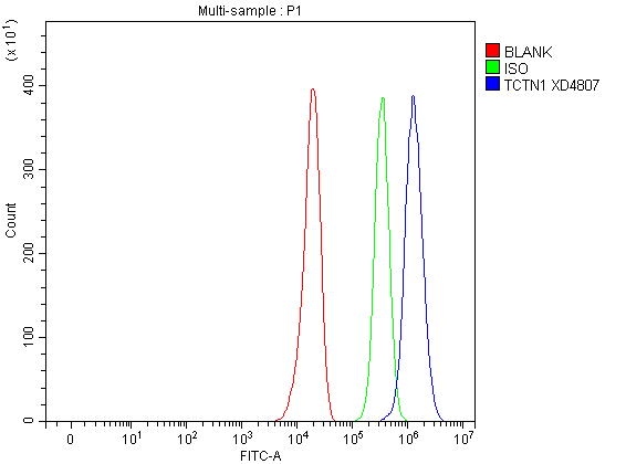 a09350 1 tctn1 primary antibodies fcm testing 1