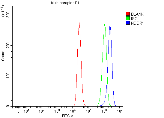  Flow Cytometry analysis of MCF-7 cells using anti-NR1/NDOR1 antibody (A09352-1)