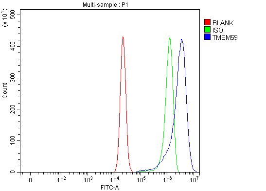 a09364 1 tmem59 primary antibodies fcm testing 2