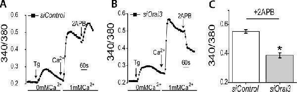 a09399 oncotarget 09 29468 g005