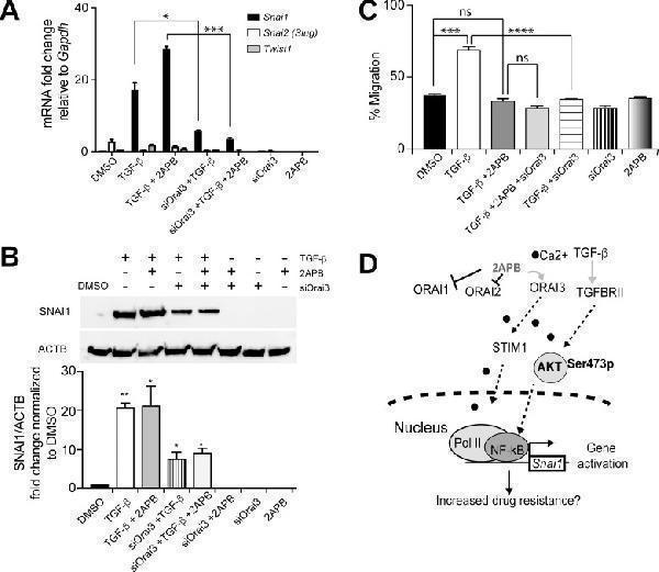 a09399 oncotarget 09 29468 g006