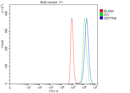  Flow Cytometry analysis of Hela cells using anti-SEPT4/SEPTIN4 antibody (A09411-2)