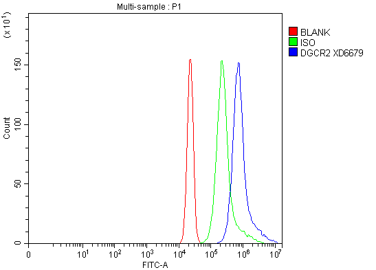 a09430 1 dgcr2 primary antibodies fcm testing 1