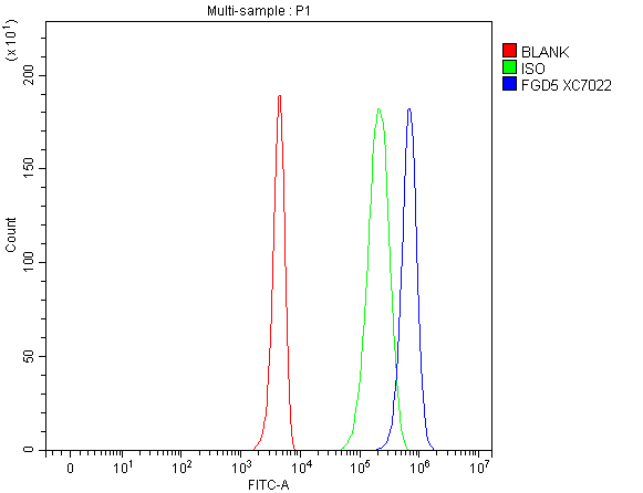 a09444 1 fgd5 primary antibodies fcm testing 1