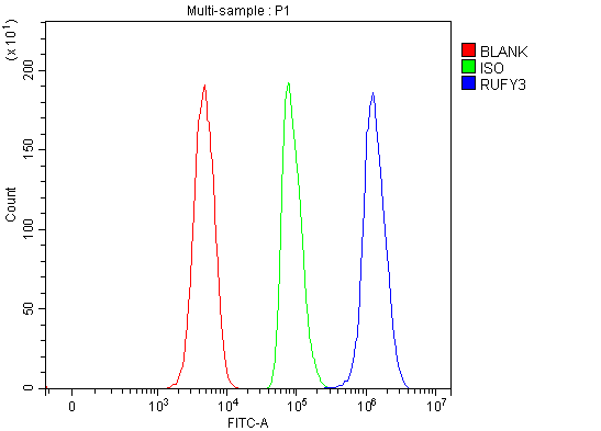  Flow Cytometry analysis of SH-SY5Y cells using anti-RUFY3 antibody (A09453-1)