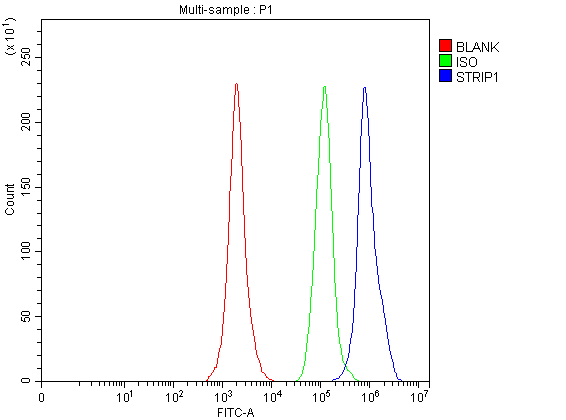 a09470 1 strip1 primary antibodies fcm testing 1
