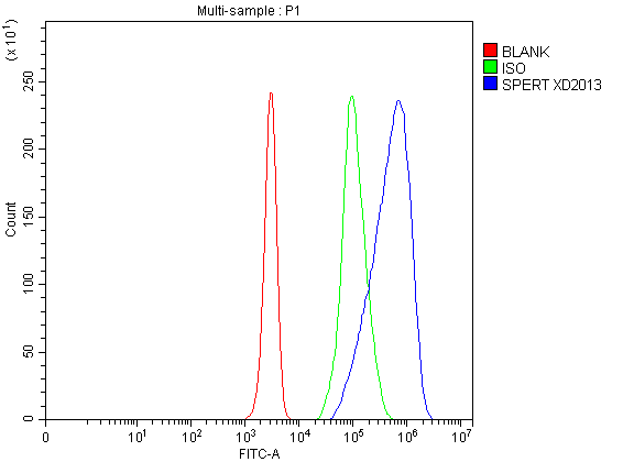  Flow Cytometry analysis of Jurkat cells using anti-CBY2 antibody (A09473-2)