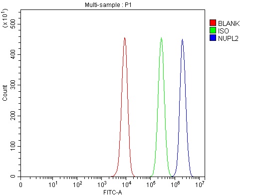 a09480 nupl2 primary antibodies fcm testing 1