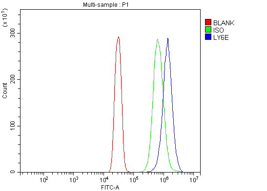 a09496 2 ly6e primary antibodies fcm testing 3