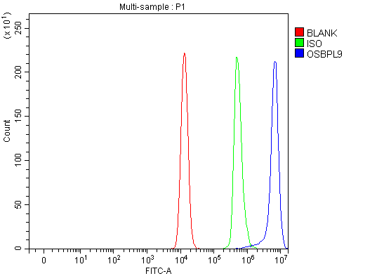  Flow Cytometry analysis of Raji cells using anti-OSBPL9 antibody (A09498-1)