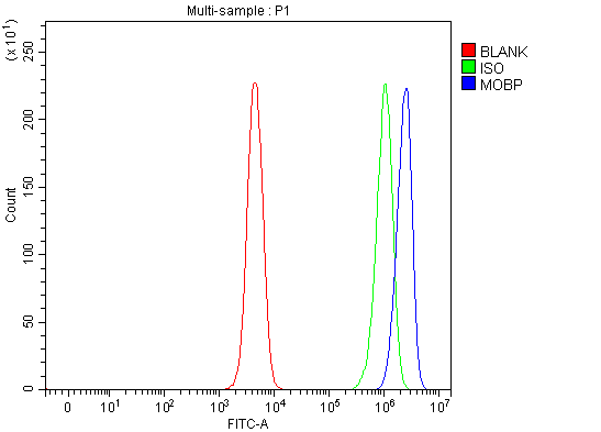  Flow Cytometry analysis of SH-SY5Y cells using anti-MOBP antibody (A09516-2)