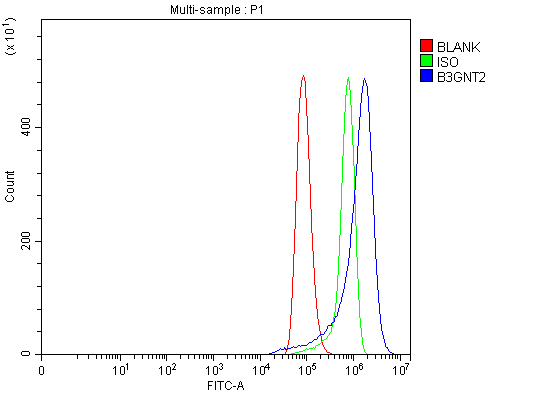  Flow Cytometry analysis of Hela cells using anti-B3GNT2 antibody (A09524-1)