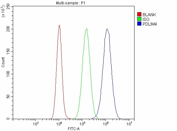 a09573 2 pdlim4 primary antibodies fcm testing 3