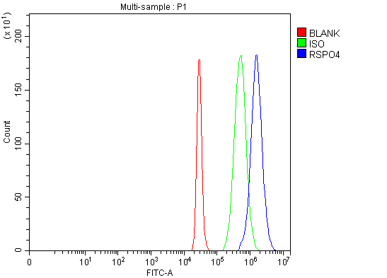  Flow Cytometry analysis of 293T cells using anti-RSPO4 antibody (A09583)