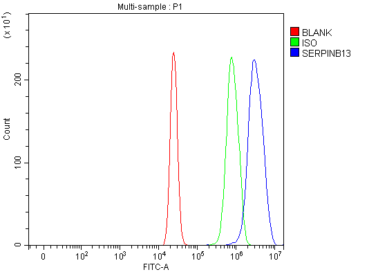  Flow Cytometry analysis of U20S cells using anti-SERPINB13 antibody (A09602-1)