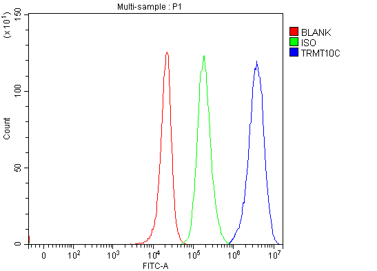 a09612 1 trmt10c primary antibodies fcm testing 12