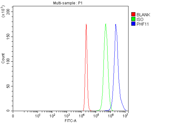  Flow Cytometry analysis of 293T cells using anti-PHF11 antibody (A09621-1)