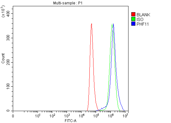 a09621 1 phf11 primary antibodies fcm testing 4