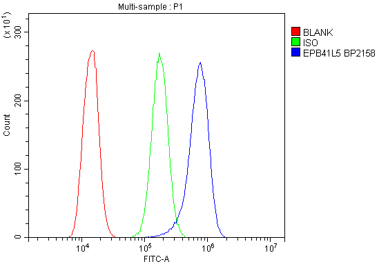a09638 2 epb41l5 primary antibodies fc testing 4