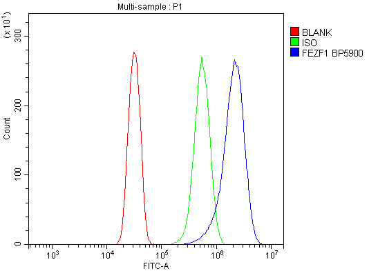 a09653 1 fezf1 primary antibodies fcm testing 3