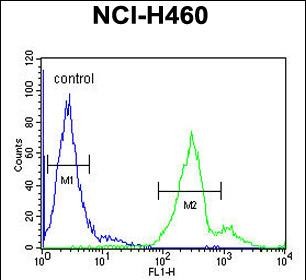 a09673 anti laptm5 antibody n term fc testing 3