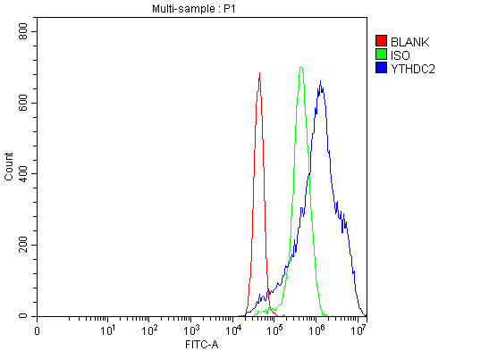 a09692 1 ythdc2 primary antibodies fcm testing 3