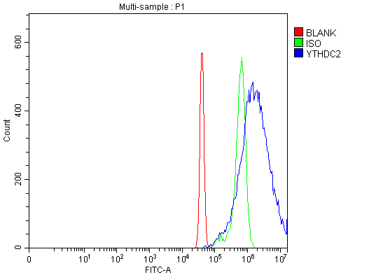 a09692 1 ythdc2 primary antibodies fcm testing 4