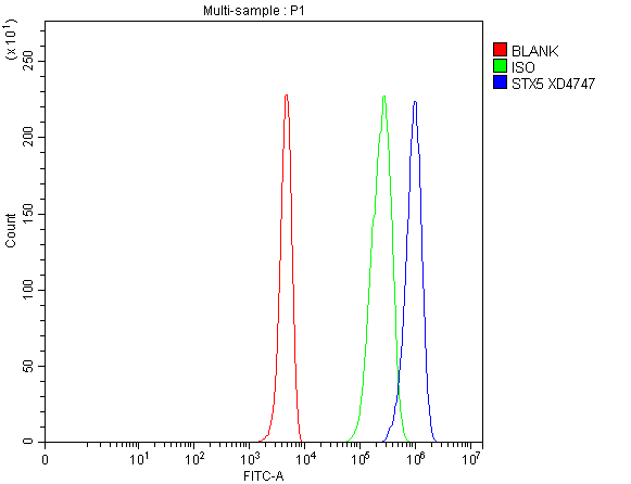 a09705 stx5 primary antibodies fcm testing 1