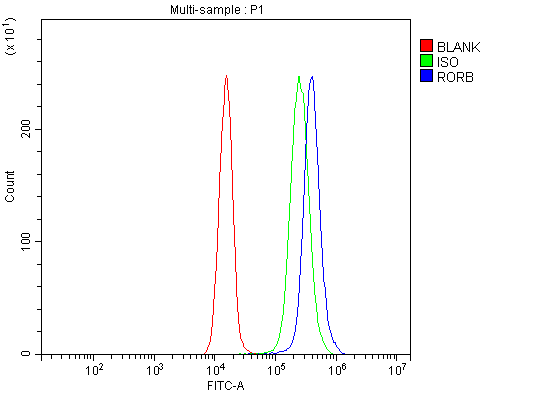a09711 2 rorb primary antibodies fcm testing 2