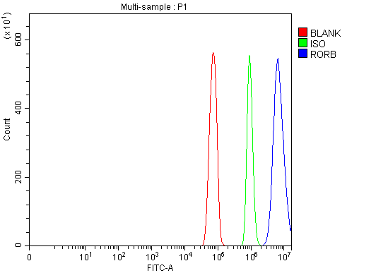 a09711 3 rorb primary antibodies fcm testing 3