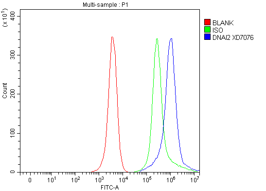a09719 2 dnai2 primary antibodies fcm testing 1