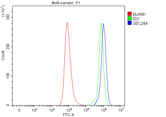  Flow Cytometry analysis of HEL cells using anti-SEC24A antibody (A09726-1)