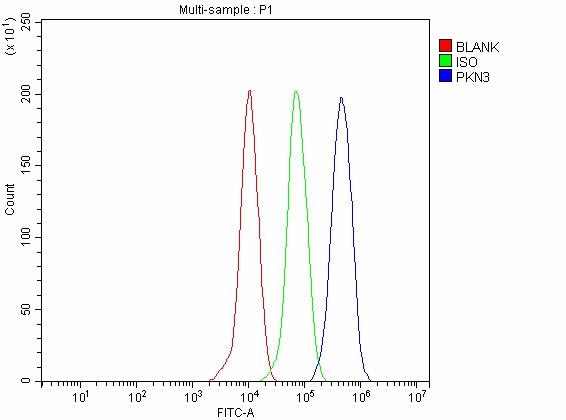  Flow Cytometry analysis of THP-1 cells using anti-PKN3 antibody (A09775-1)
