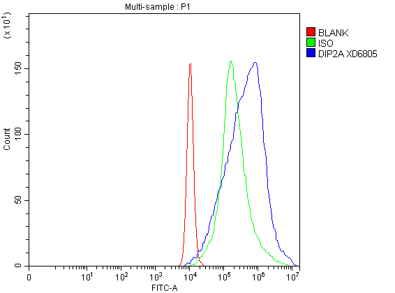 Flow Cytometry analysis of A431 cells using anti-DIP2A antibody (A09803-1)