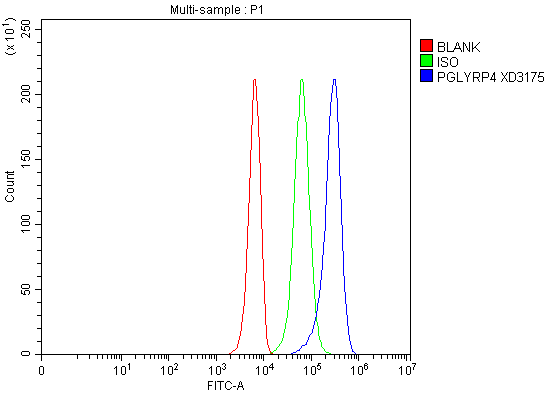 a09834 1 pglyrp4 primary antibodies fcm testing 1