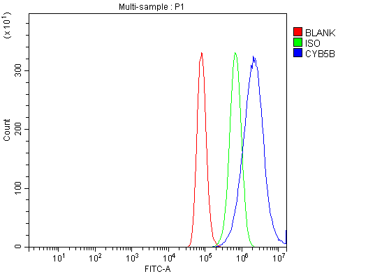 a09841 1 cyb5b primary antibodies fcm testing 8