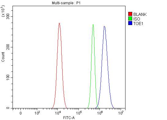 a09852 2 toe1 primary antibodies fcm testing 3