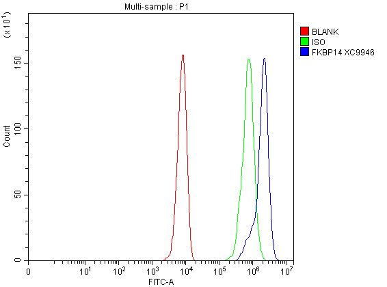 a09867 fkbp14 primary antibodies fcm testing 1