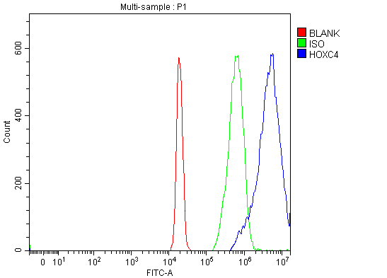 a09869 1 hoxc4 primary antibodies fcm testing 8