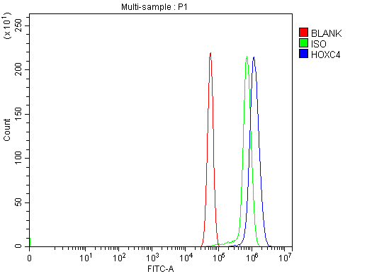 a09869 1 hoxc4 primary antibodies fcm testing 9