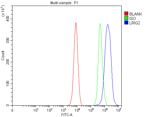 a09895 lrig2 primary antibodies fcm testing 3